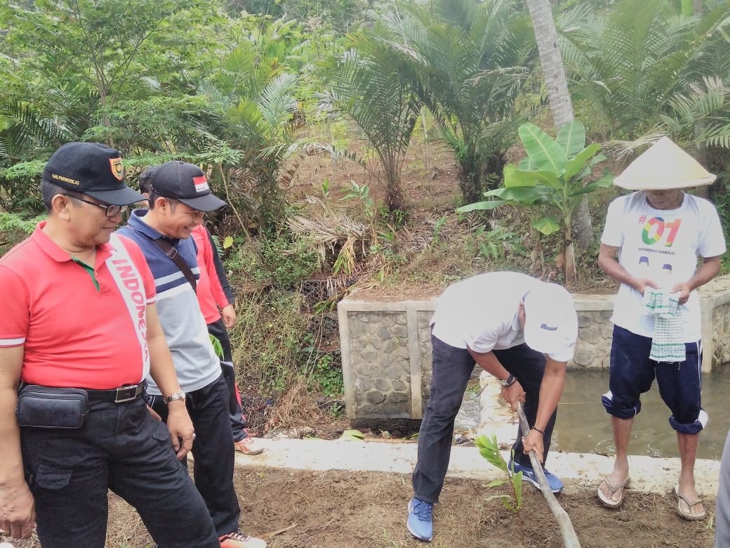 Penanaman Pohon Dalam Serangkaian Acara Bupati Saba Desa Kaliwungu