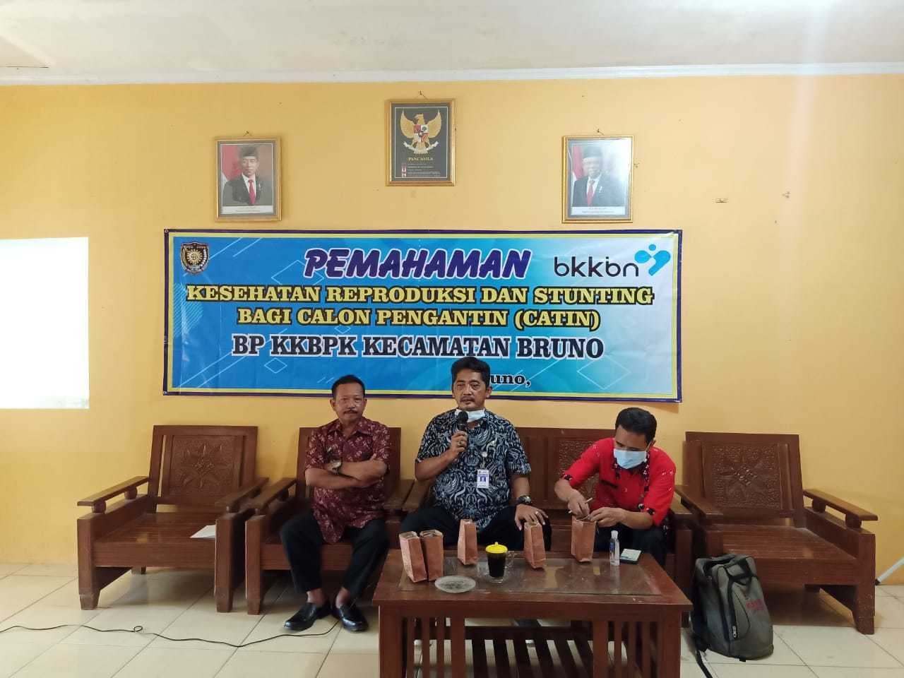 Sosialisasi Kesehatan Reproduksi Bagi Calon Pengantin di Desa Pakisarum