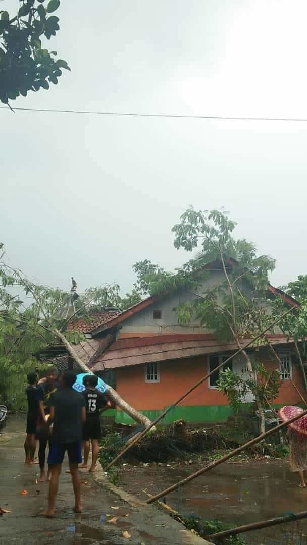 Hujan Deras, Sebuah Pohon Tumbang Menimpa Rumah Warga Brunosari