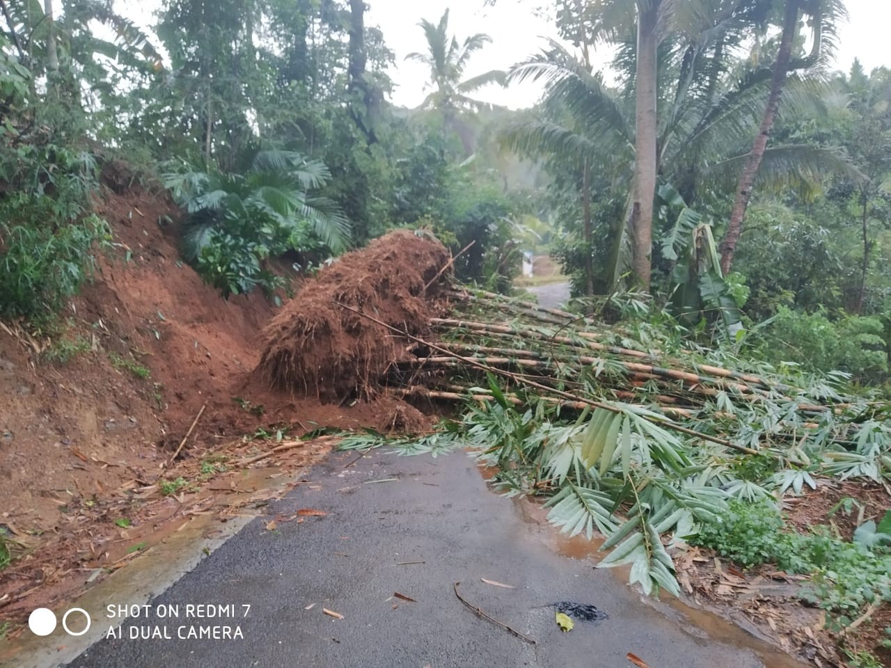 Hujan Deras Akibatkan Tanah Longsor Di Desa  Gowong, Kecamatan Bruno 