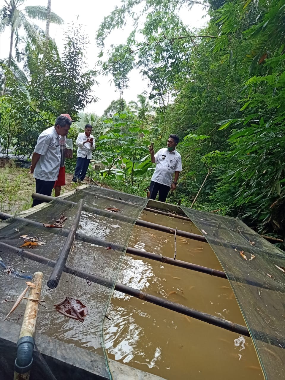 Kunjungan Camat Bruno Ke Lokasi Budidaya Ikan Desa Cepedak 