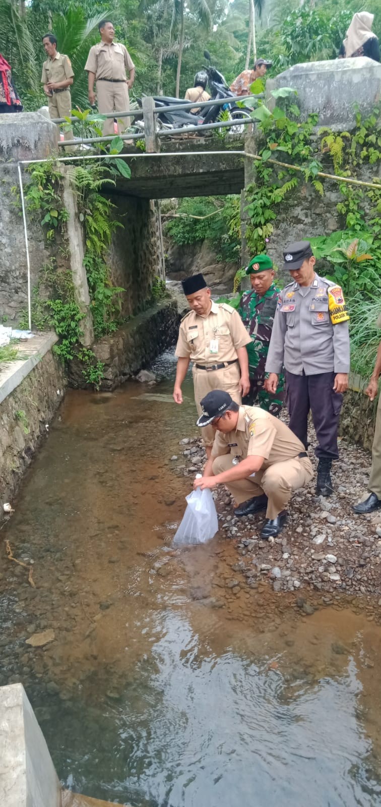 Kegiatan Tabur Benih Ikan di Sungai Kewadasan